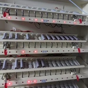 Cylindrical cells arranged during an archive cell-grading stage